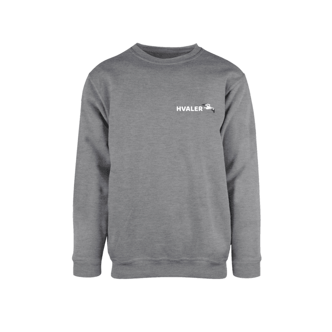 Hovedbilde Hvaler Genser Grå